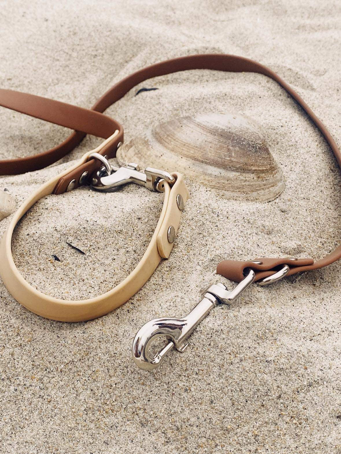 Ensemble de collier et laisse pour chien