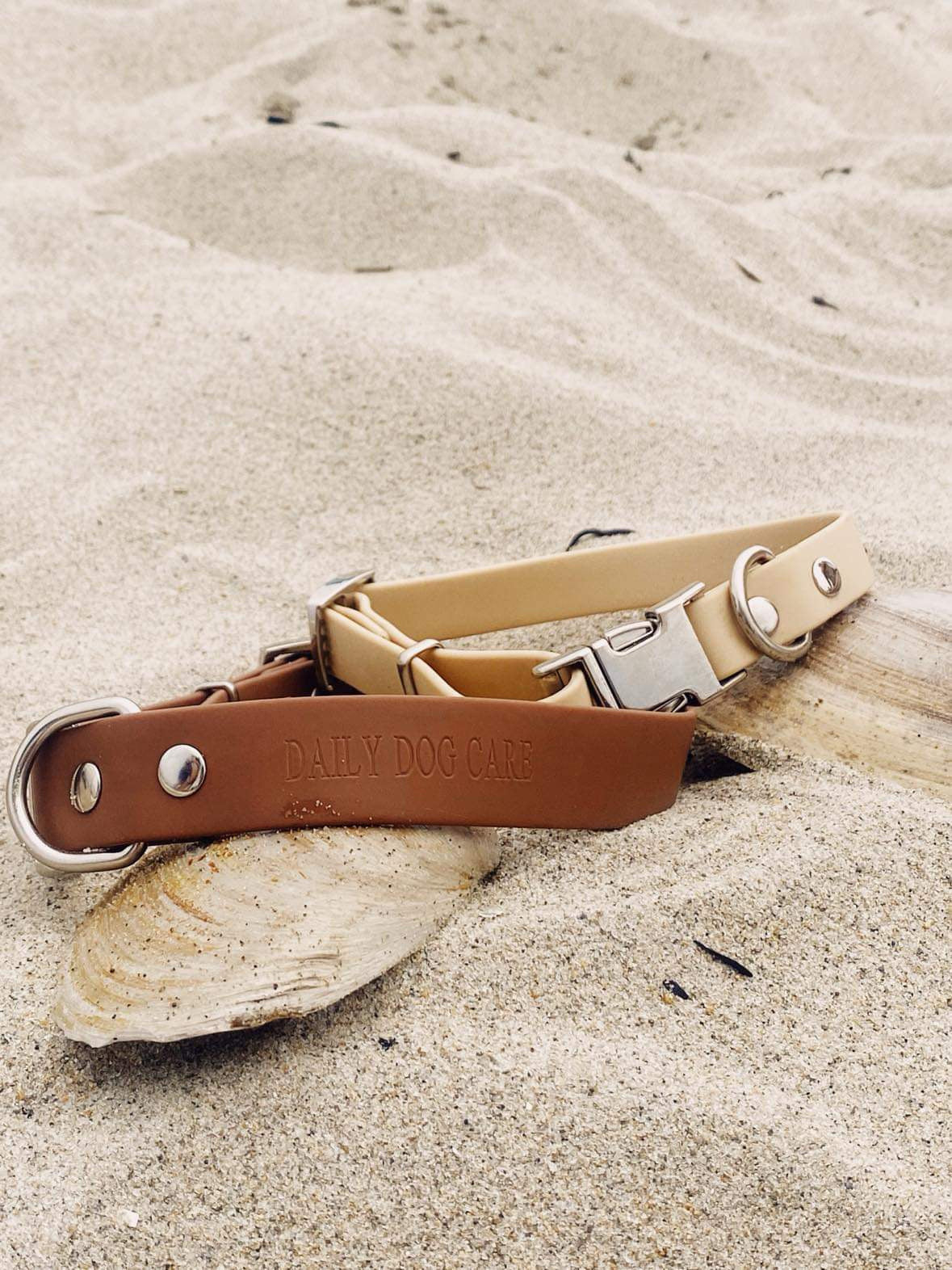 Ensemble de collier et laisse pour chien