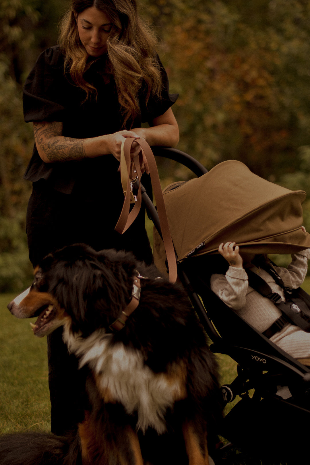 Ensemble de collier et laisse pour chien